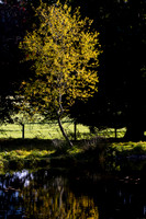 20261022-_MG_6006-90D