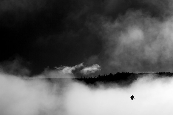 Soul Ascension_3208