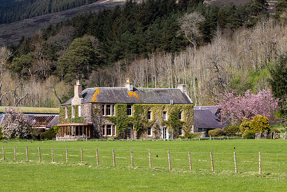 Nether Horsburgh in Spring_4133-spring-2023_90D