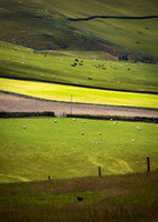 Light and Shade on the Land_4881_90D