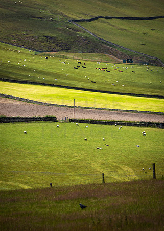 Light and Shade on the Land_4881_90D