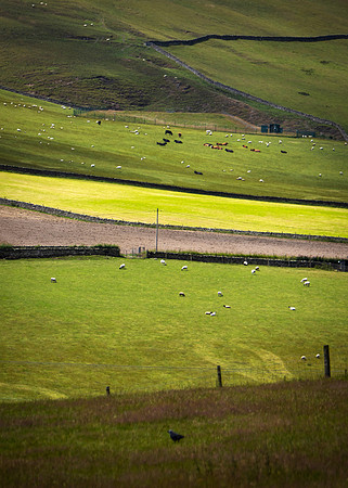 Light and Shade on the Land_4881_90D
