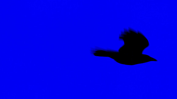 Night Flight_8970