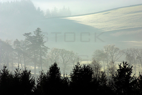 Cool Landscape
