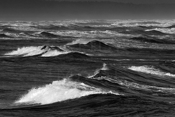 Waves_b-w
