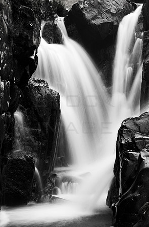 Water Spirit_b-w