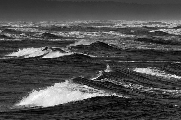 Waves_b-w