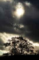 A Heavenly Intervention_1490-5D111