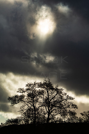 A Heavenly Intervention_1490-5D111