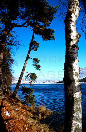 St Mary's Loch