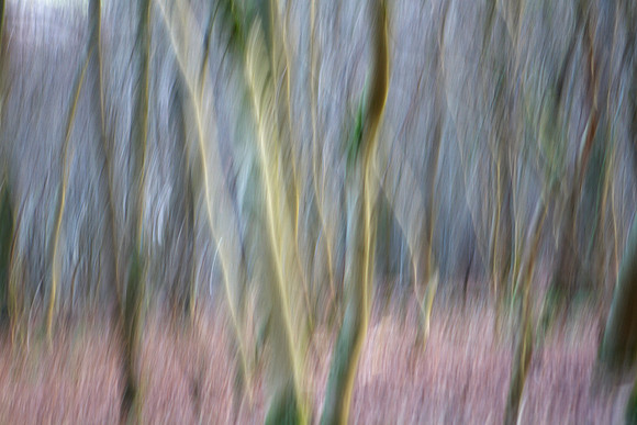 Increasing the Frequency_3099
