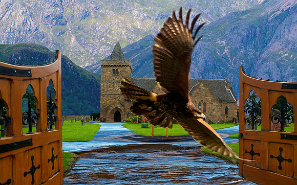 Swoop_0628