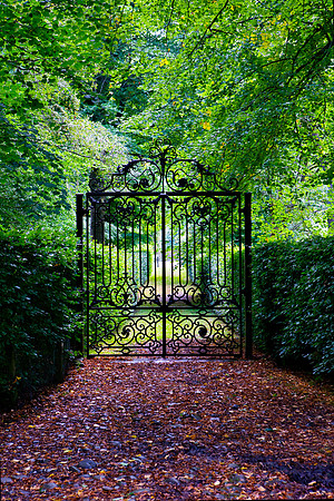 I am Closed to You_2215