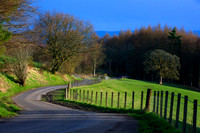 A Country Twist_0058