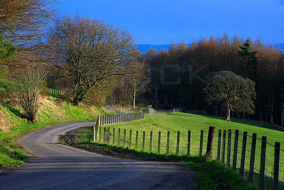 A Country Twist_0058