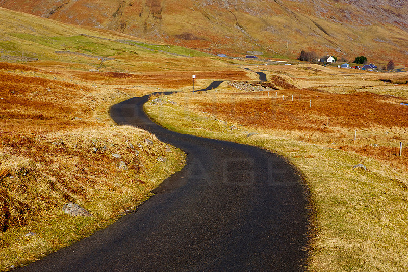 The Winding Road