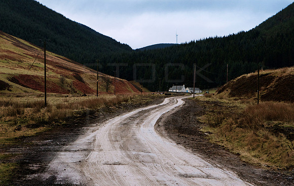 _Farm Track_9666