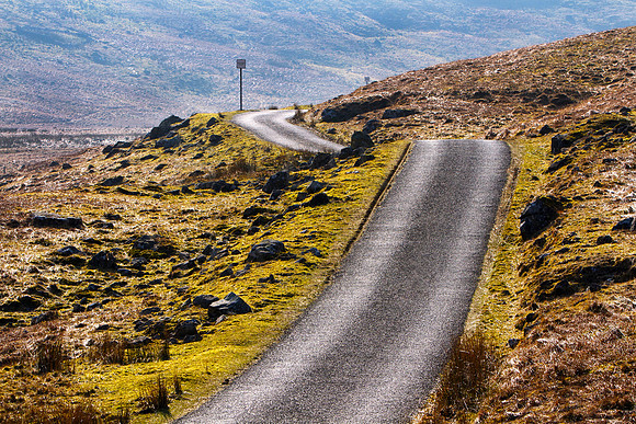 Taking the High Road_9892