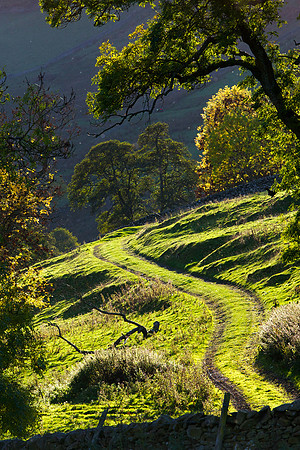 Track through Autumn_0858