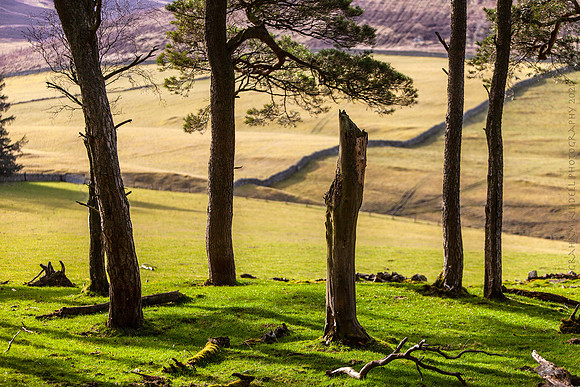 Nature's Monolith_2737_landscape copy