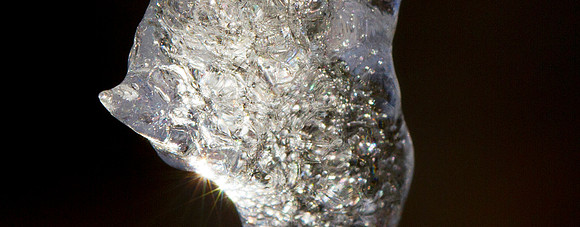 Ice Crystal_3762