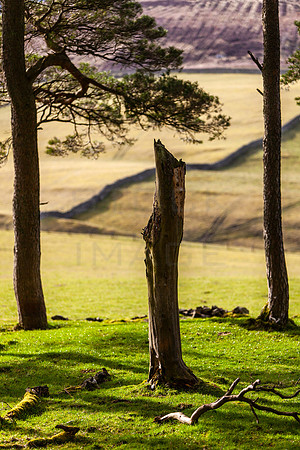 Nature's Monolith_2736_Portrait