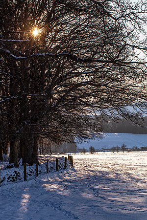 Sun behind Toll Wood_2393_local