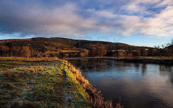 Sun on Tweed Bank_1935_local