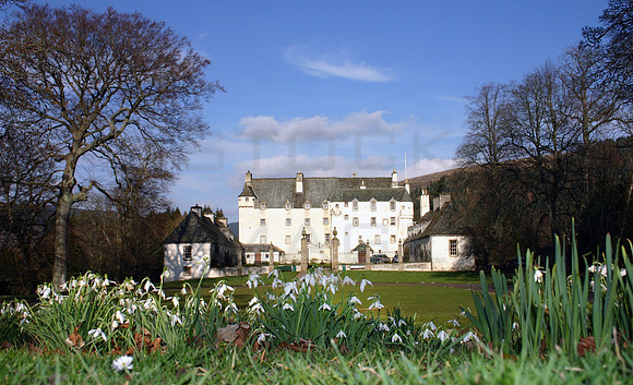 Traquair House and snowdrops