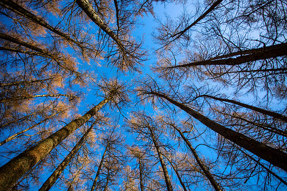 Reach for the Sky_2828_local-2