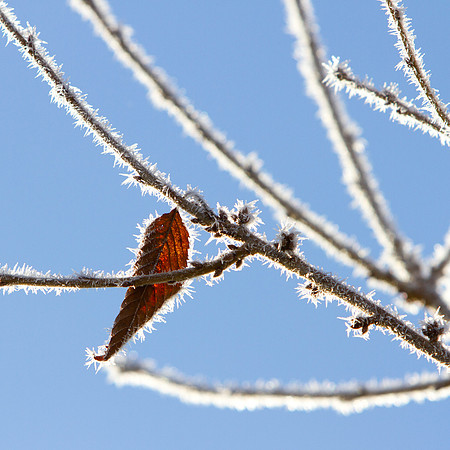 Rustic Ice in Blue_2982