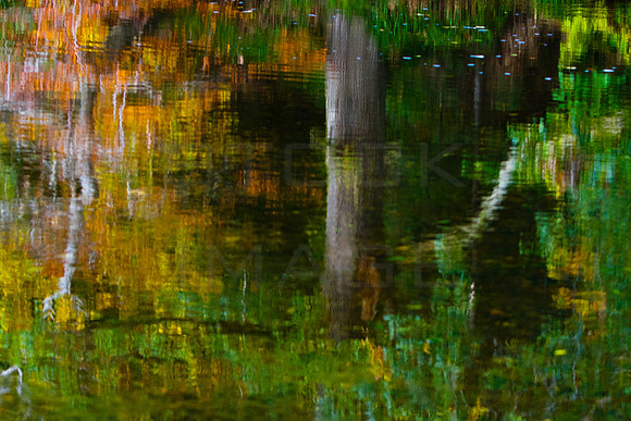 Impressions of Autumn_2505