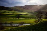 Lush Border Lands_2859_local