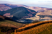 Walkerburn from Southern Uplands_2611_local