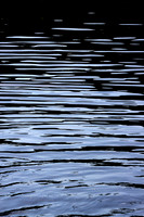 Water Ripples_2_9193-90D