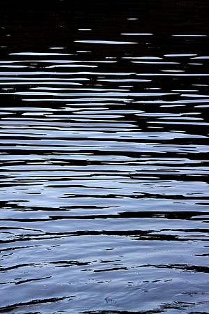 Water Ripples_2_9193-90D
