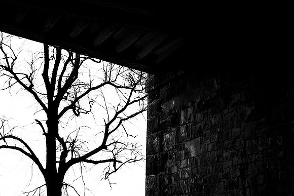 Contrast_3017_5D11