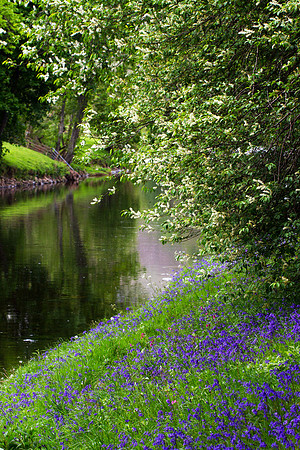 Peaceful Waters_5283