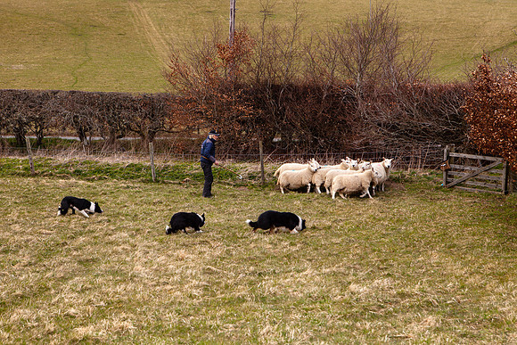 20210411_MG_2947_Julie-Hill