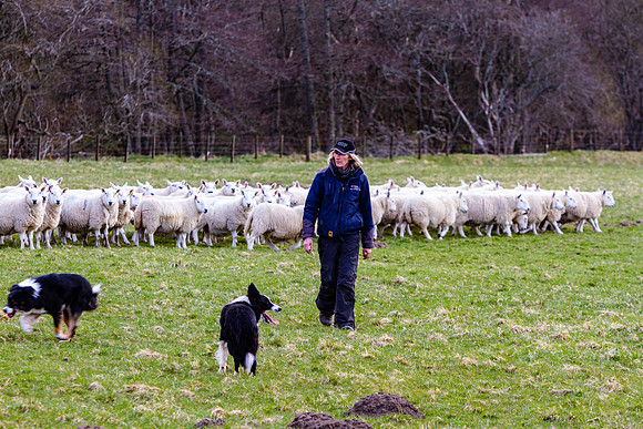 20210411_MG_2728_Julie-Hill