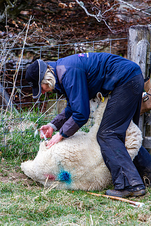 20210411_MG_2724_Julie-Hill