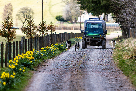 20210411_MG_2690_Julie-Hill