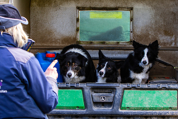 20210411_MG_2736_Julie-Hill