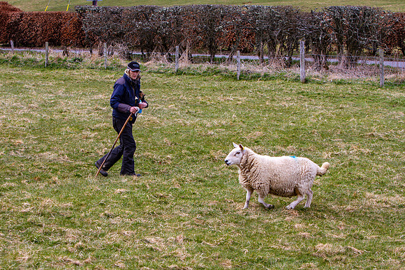 20210411_MG_2707_Julie-Hill