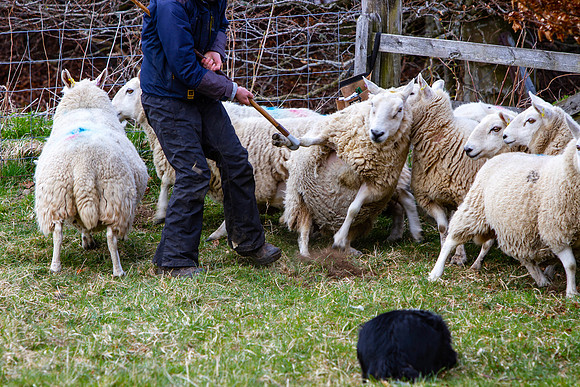20210411_MG_2716_Julie-Hill
