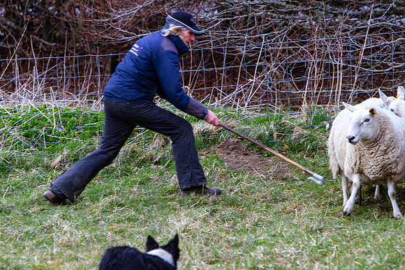20210411_MG_2713_Julie-Hill