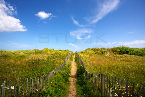 To the Beach_2724_edit