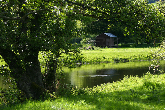 Riverside Rest