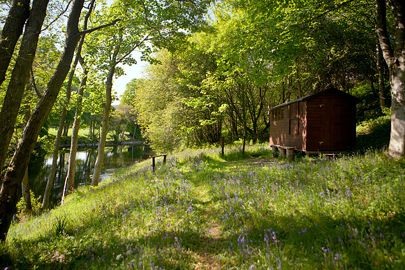 Hut by the River-4807-08