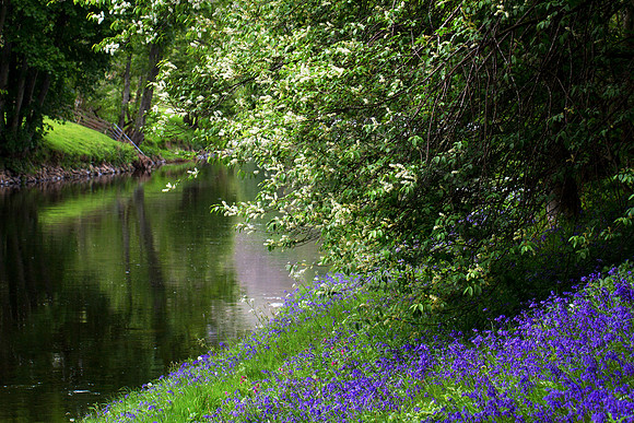 He Leads Me Beside the Still Waters_5282